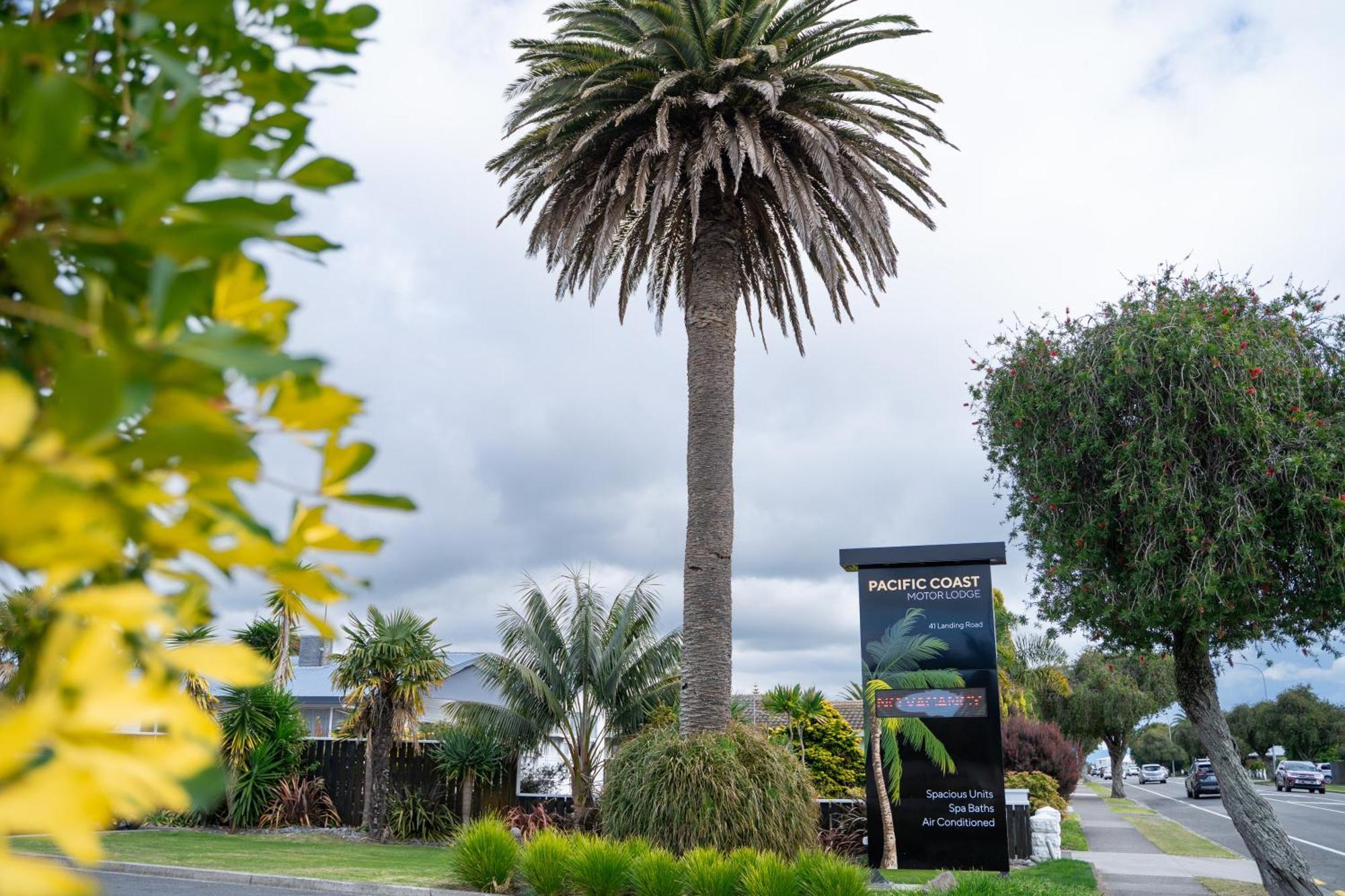 Pacific Coast Motor Lodge Уакатане Екстериор снимка